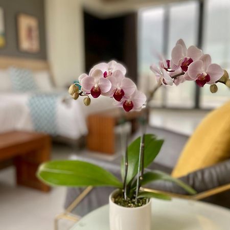 Follow The Cloud B&B Jialin Phòng bức ảnh